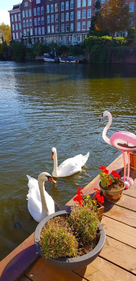 Romantic Quiet Studio On The Canal Bed and Breakfast Άμστερνταμ Εξωτερικό φωτογραφία